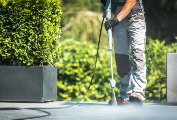 Best Driveway Pressure Washing  in Centerton, AR